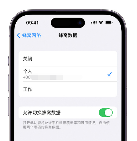 灌南苹果维修服务分享如何在iPhone上使用双卡 